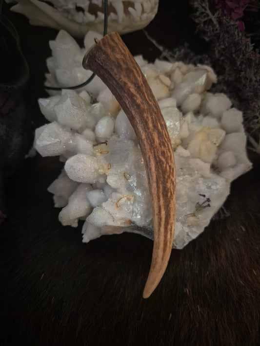 Roe Deer Antler Pendant