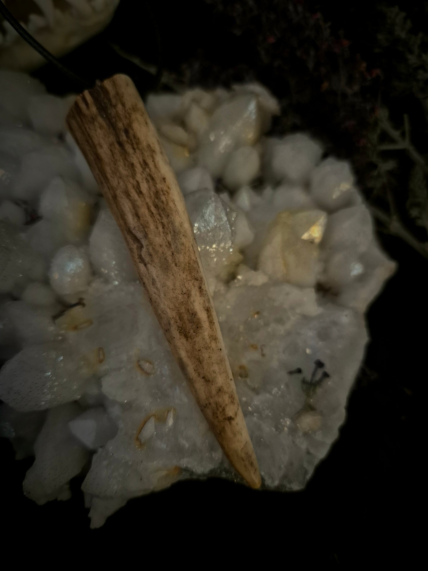 Roe Deer Antler Pendant