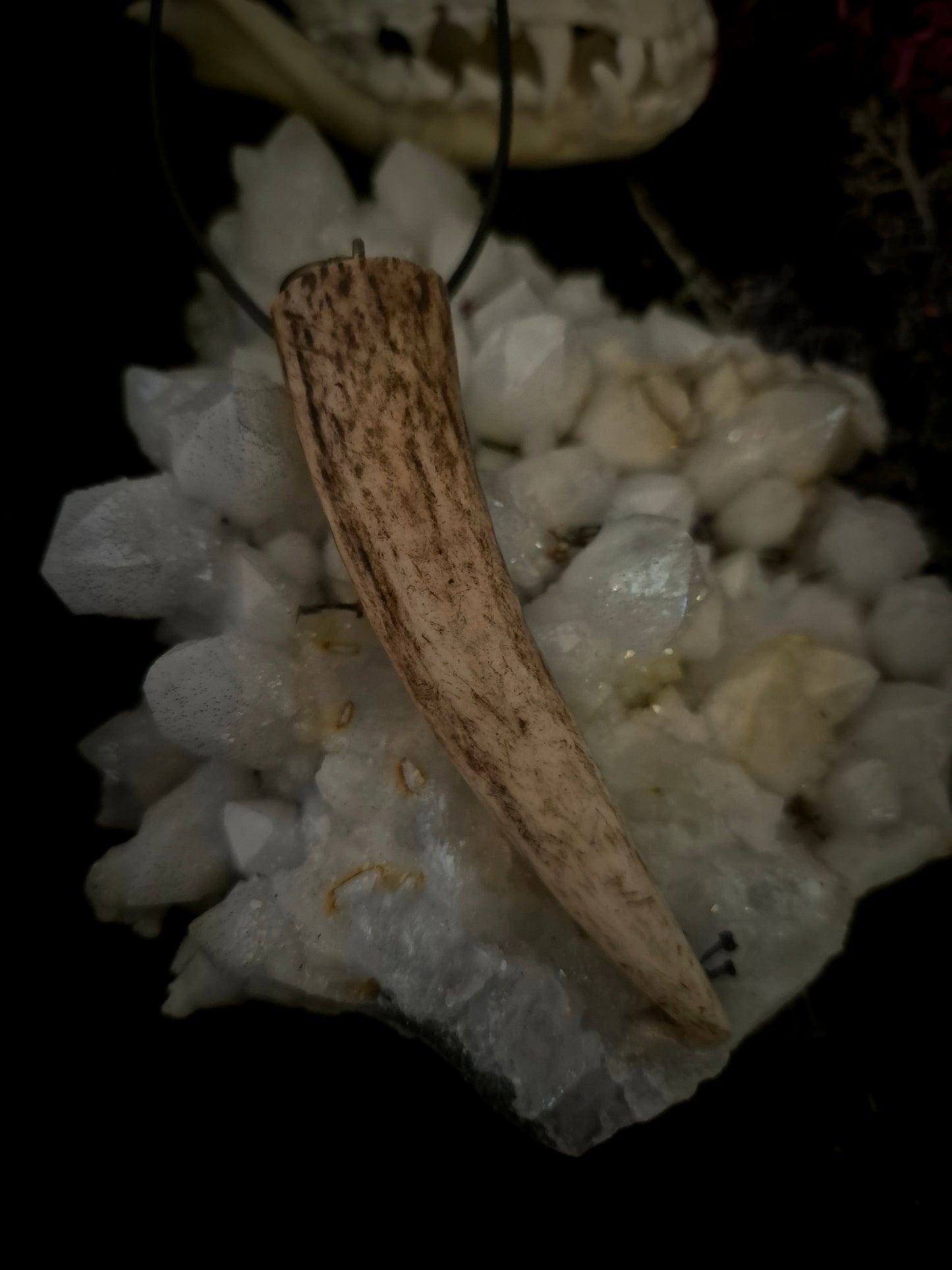 Roe Deer Antler Pendant