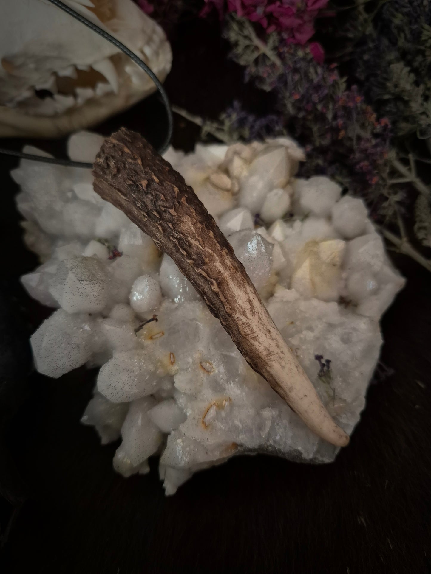 Roe Deer Antler Pendant