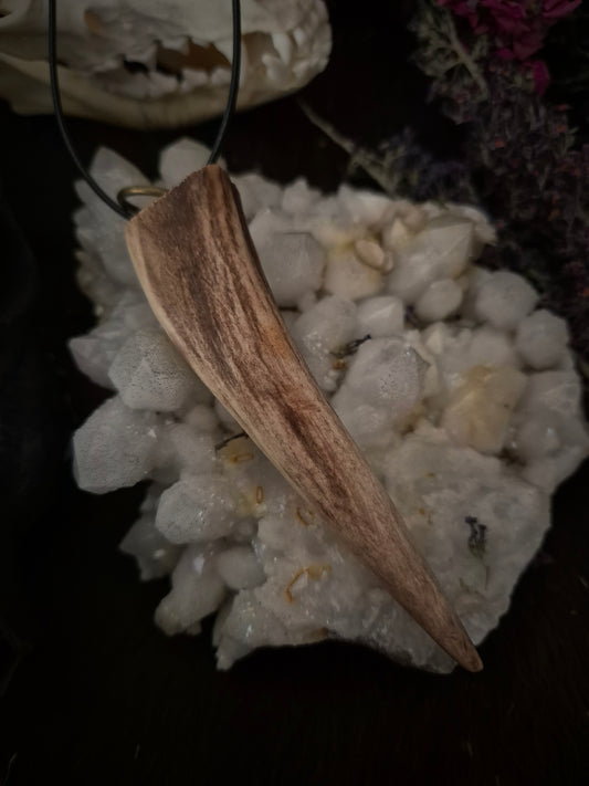 Roe Deer Antler Pendant