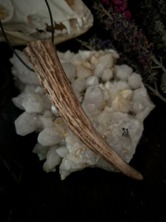 Roe Deer Antler Pendant