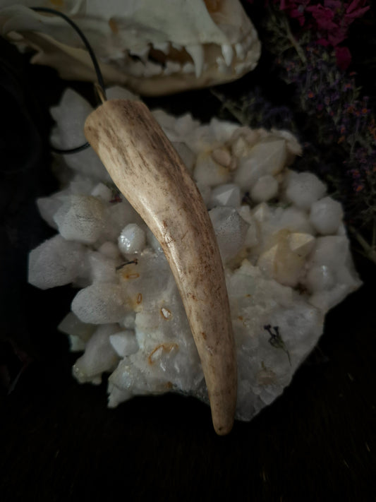 Roe Deer Antler Pendant