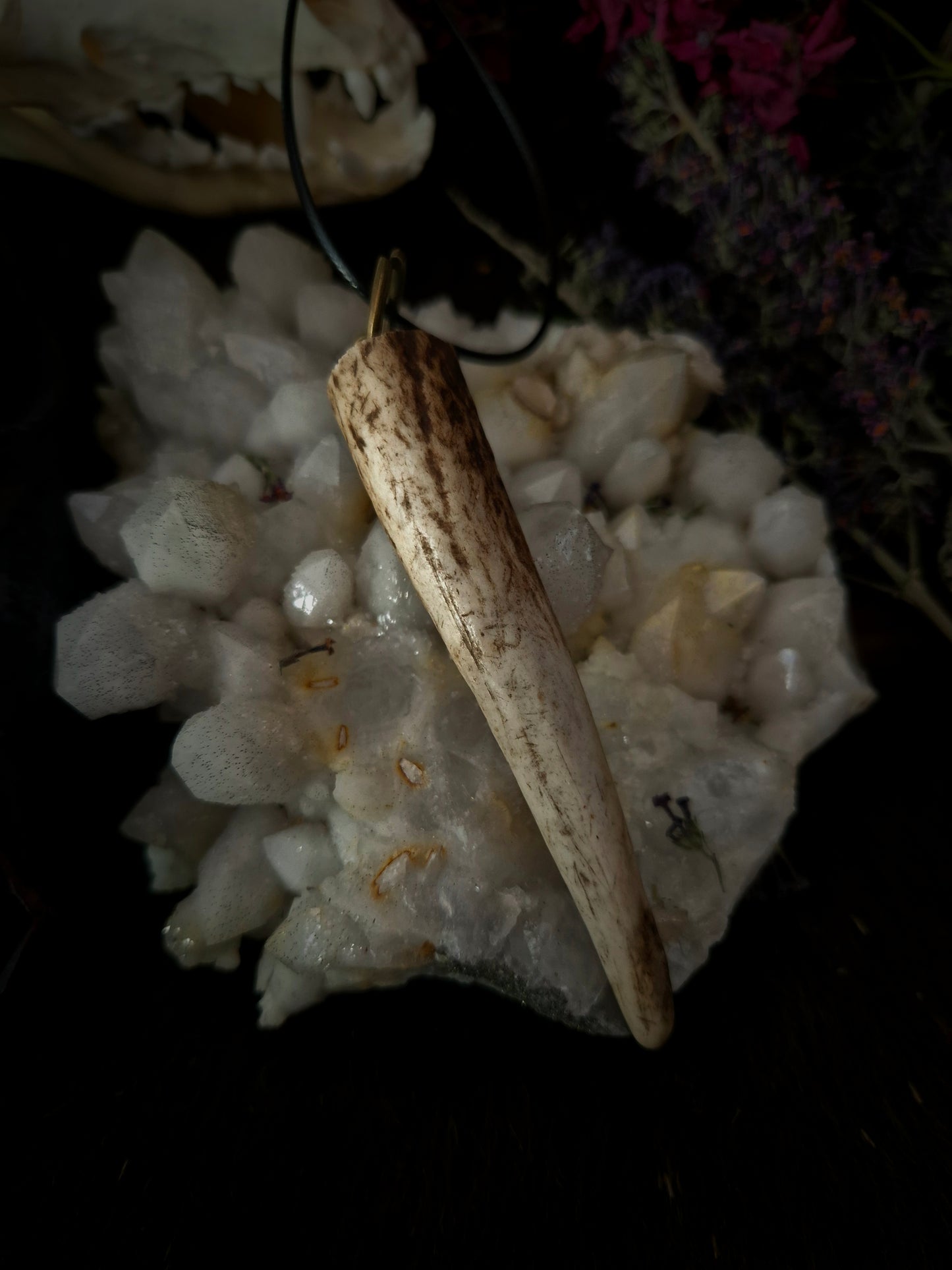 Roe Deer Antler Pendant