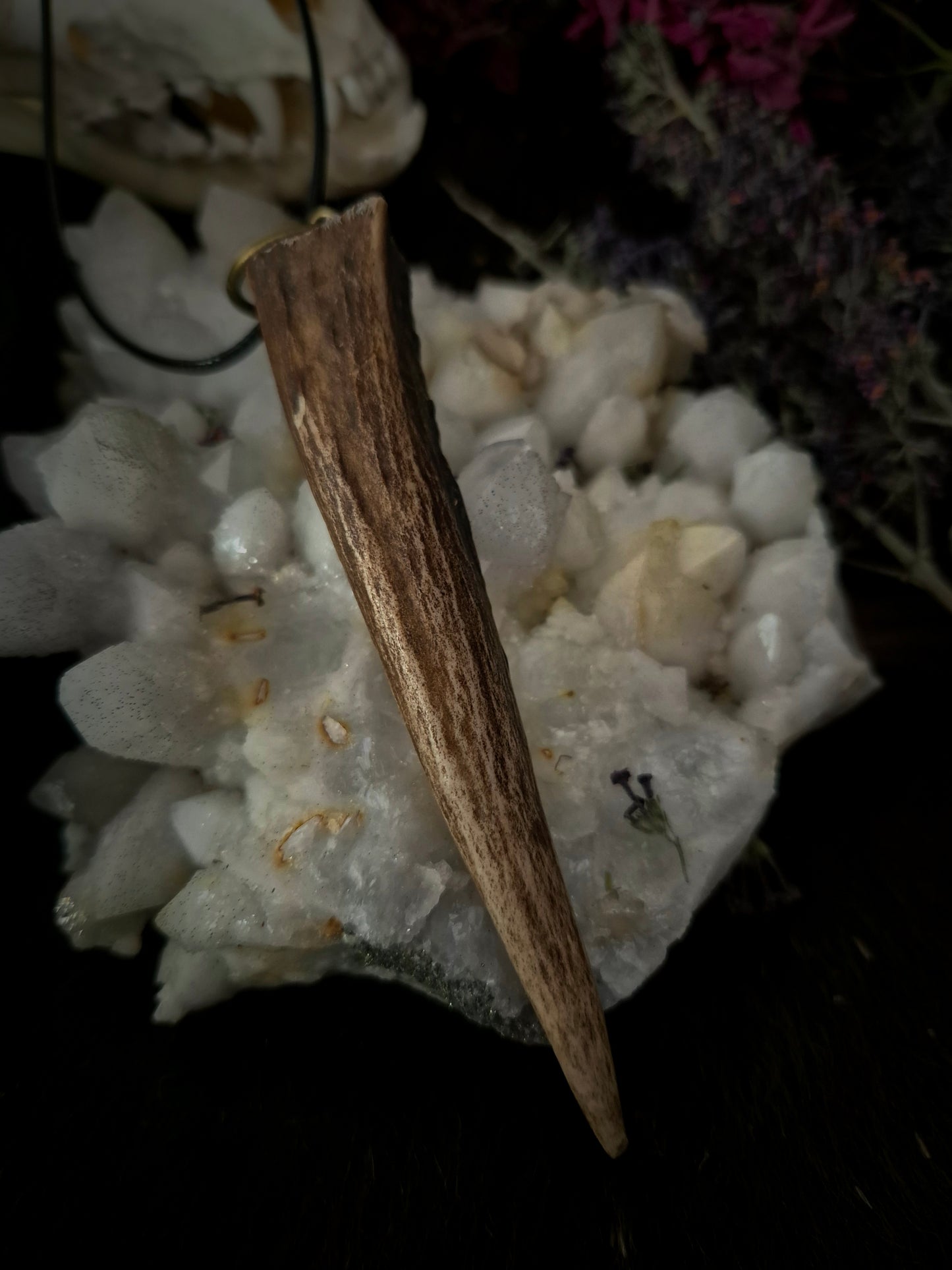 Roe Deer Antler Pendant