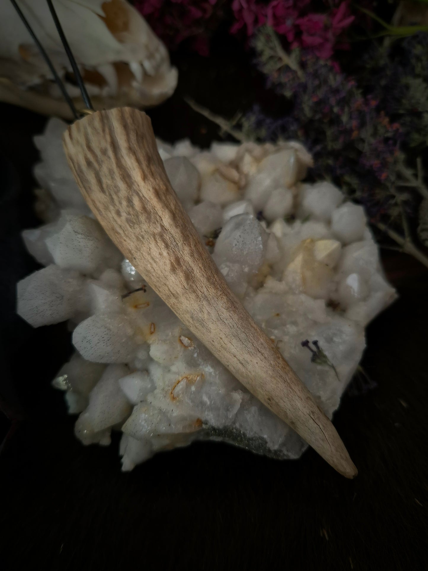 Roe Deer Antler Pendant