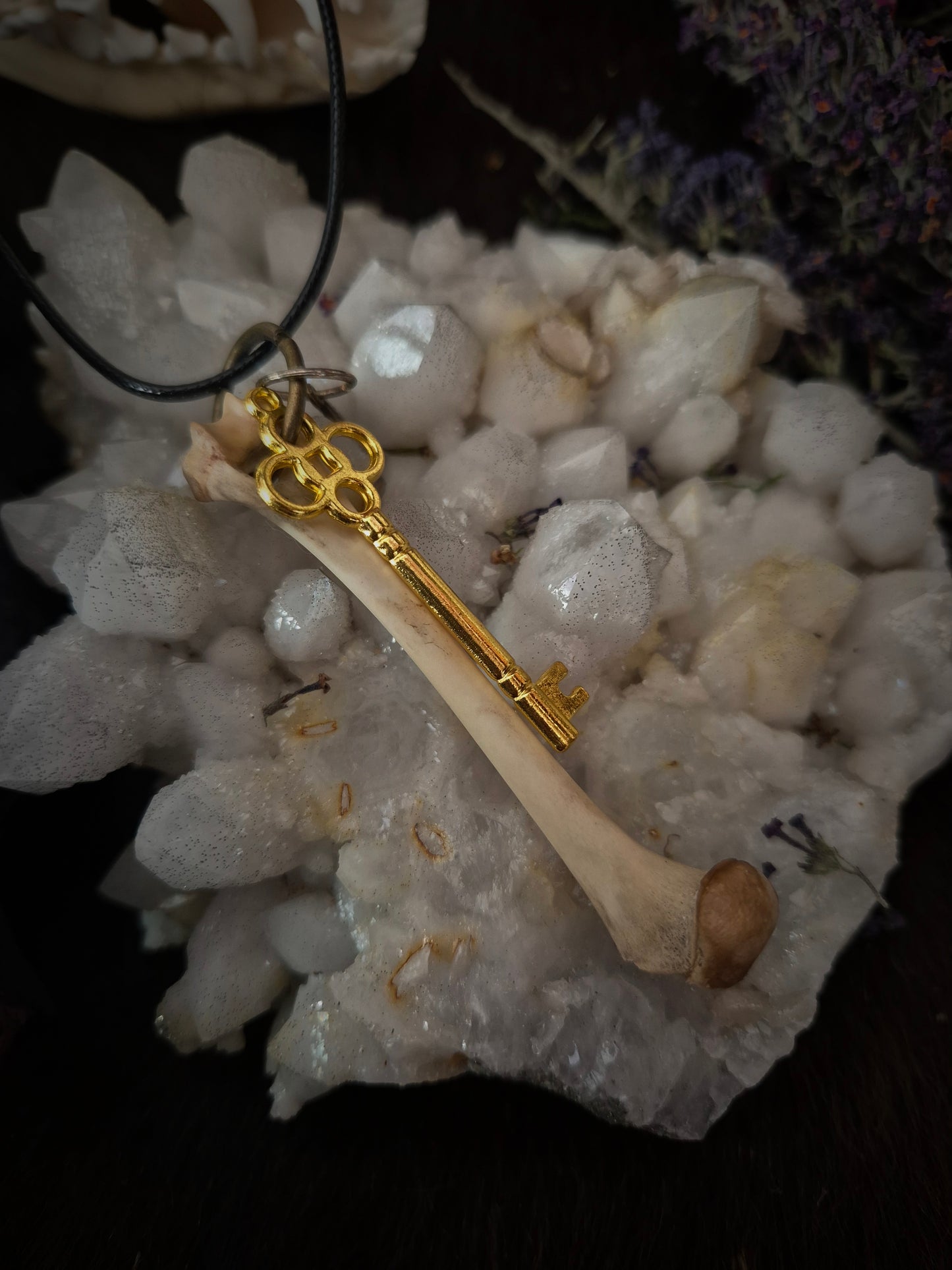 Crow Bone Pendant