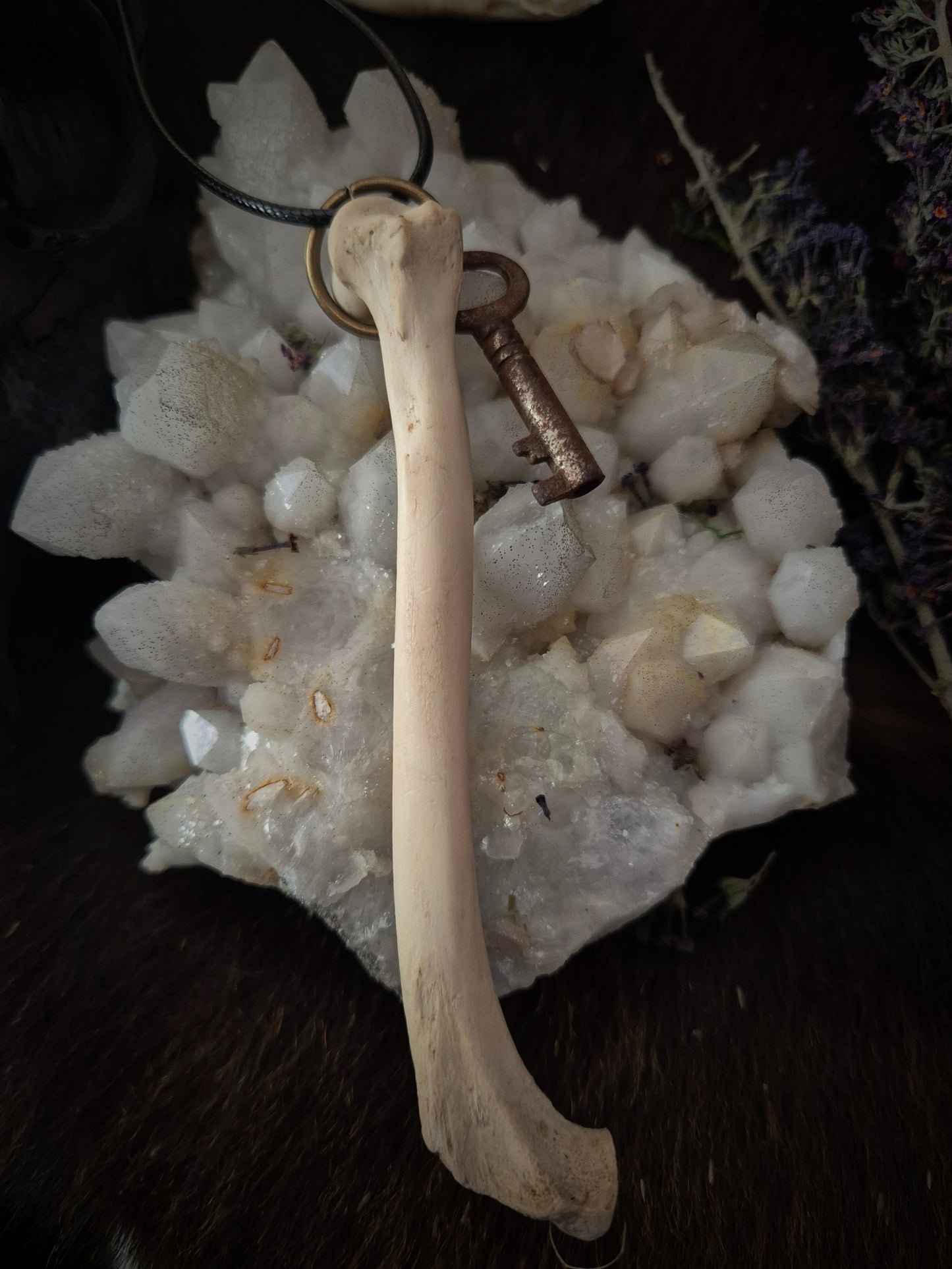 Fox Bone Pendant