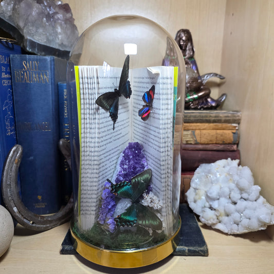 ACOTAR Book Dome