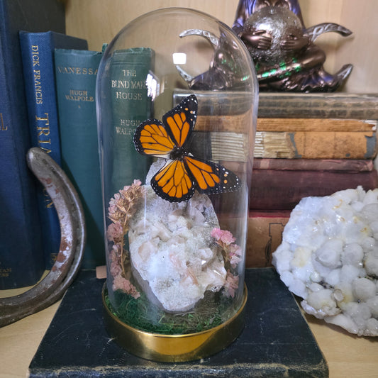 Monarch Tall Dome