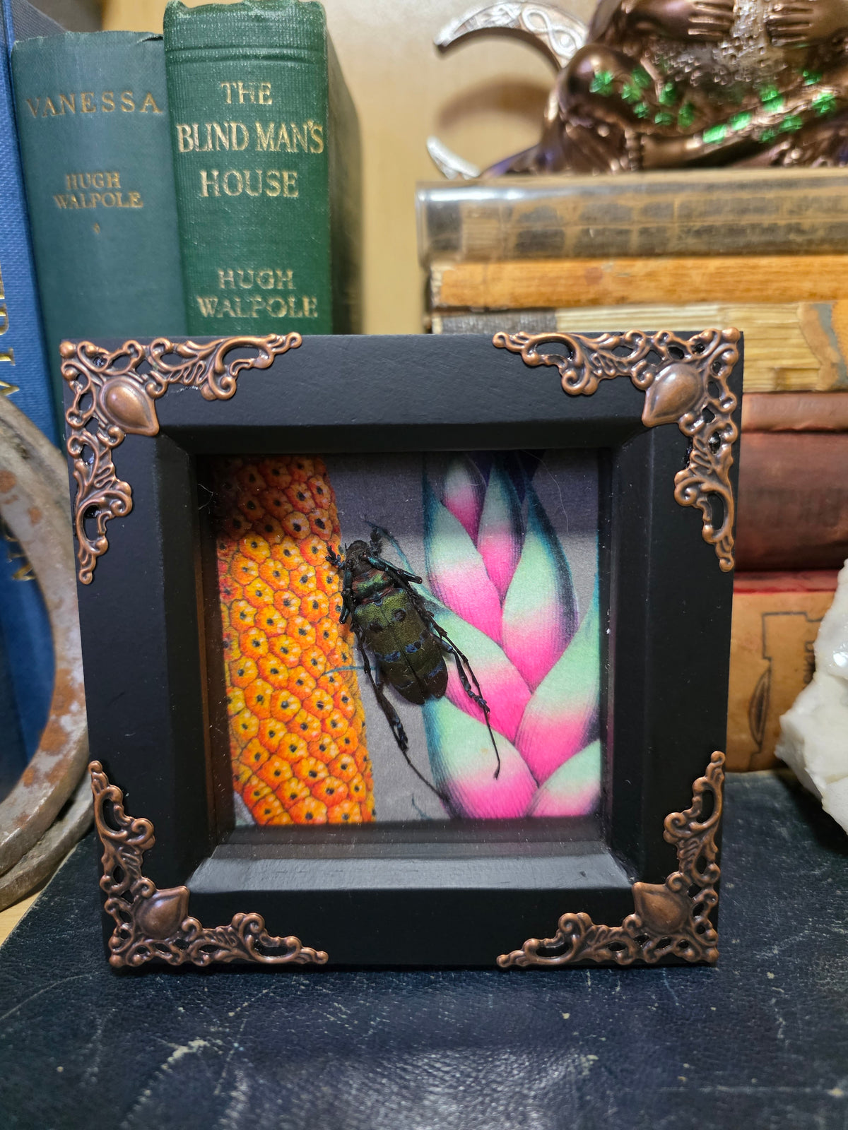 Longhorn Beetle Deep Frame