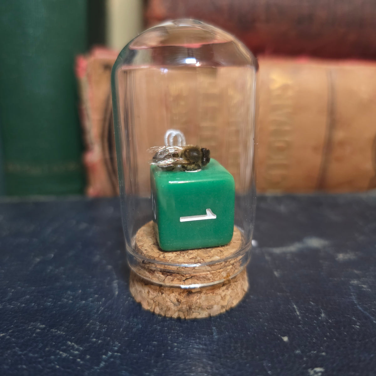 D&D Dice Bee Dome