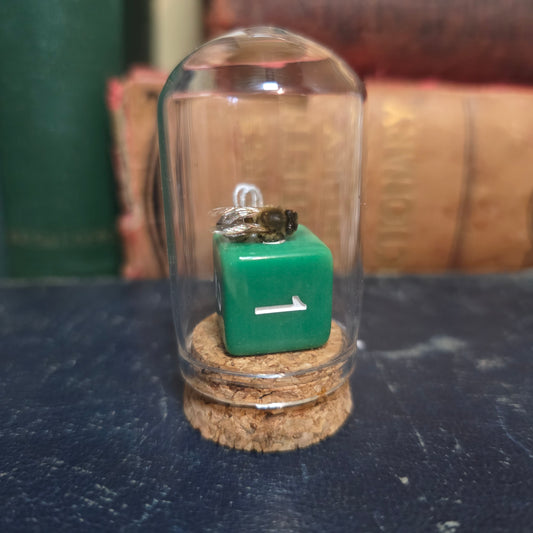 D&D Dice Bee Dome