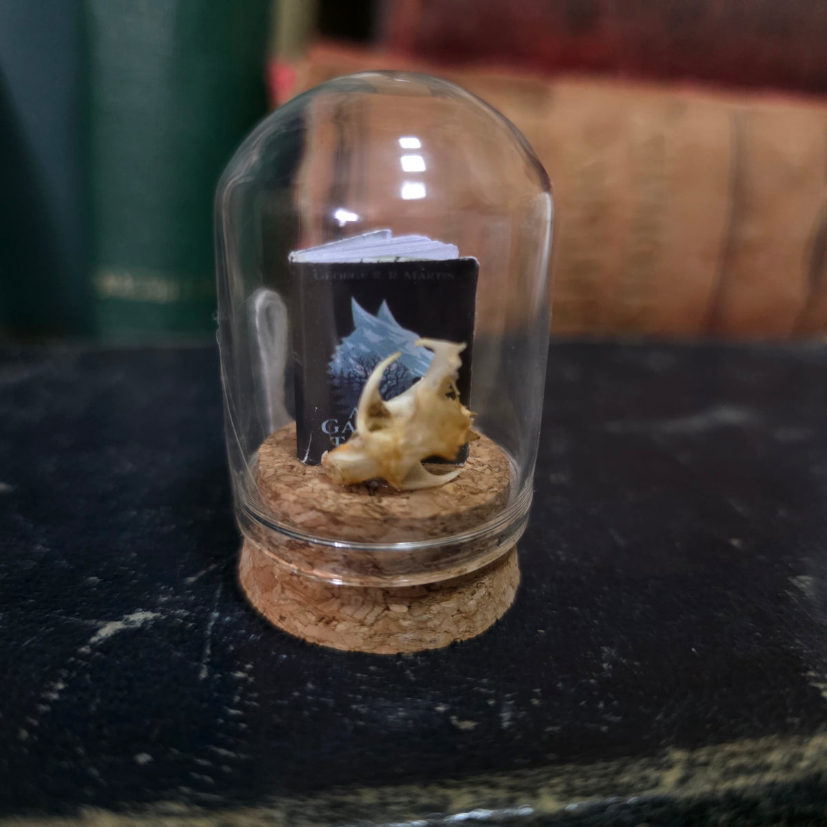 Book Mini Skull Dome