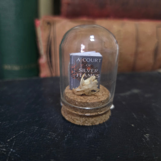 Book Mini Skull Dome