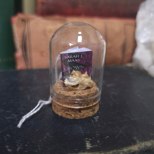 Book Mini Skull Dome