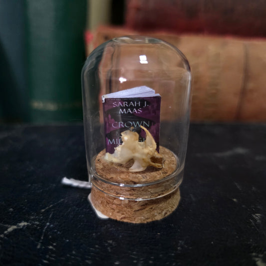 Book Mini Skull Dome