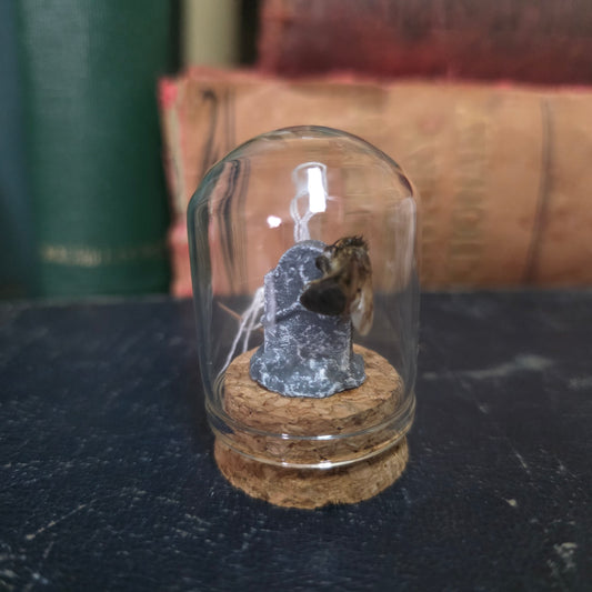 Gravestone Bee Dome