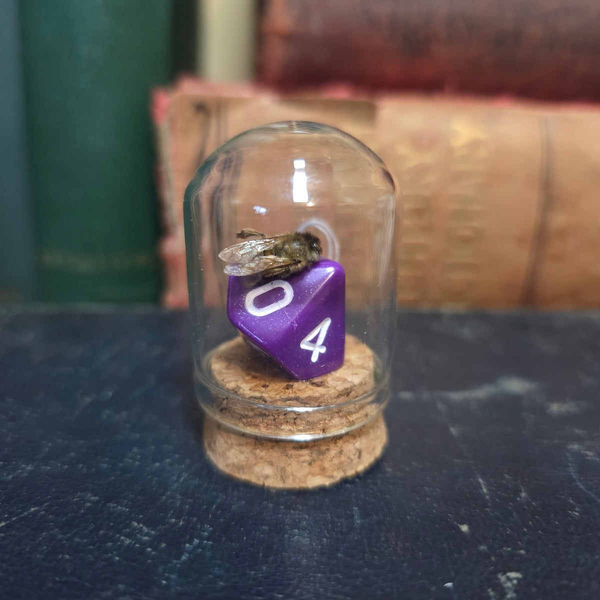 D&D Dice Bee Dome