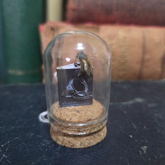 Book Bee Dome