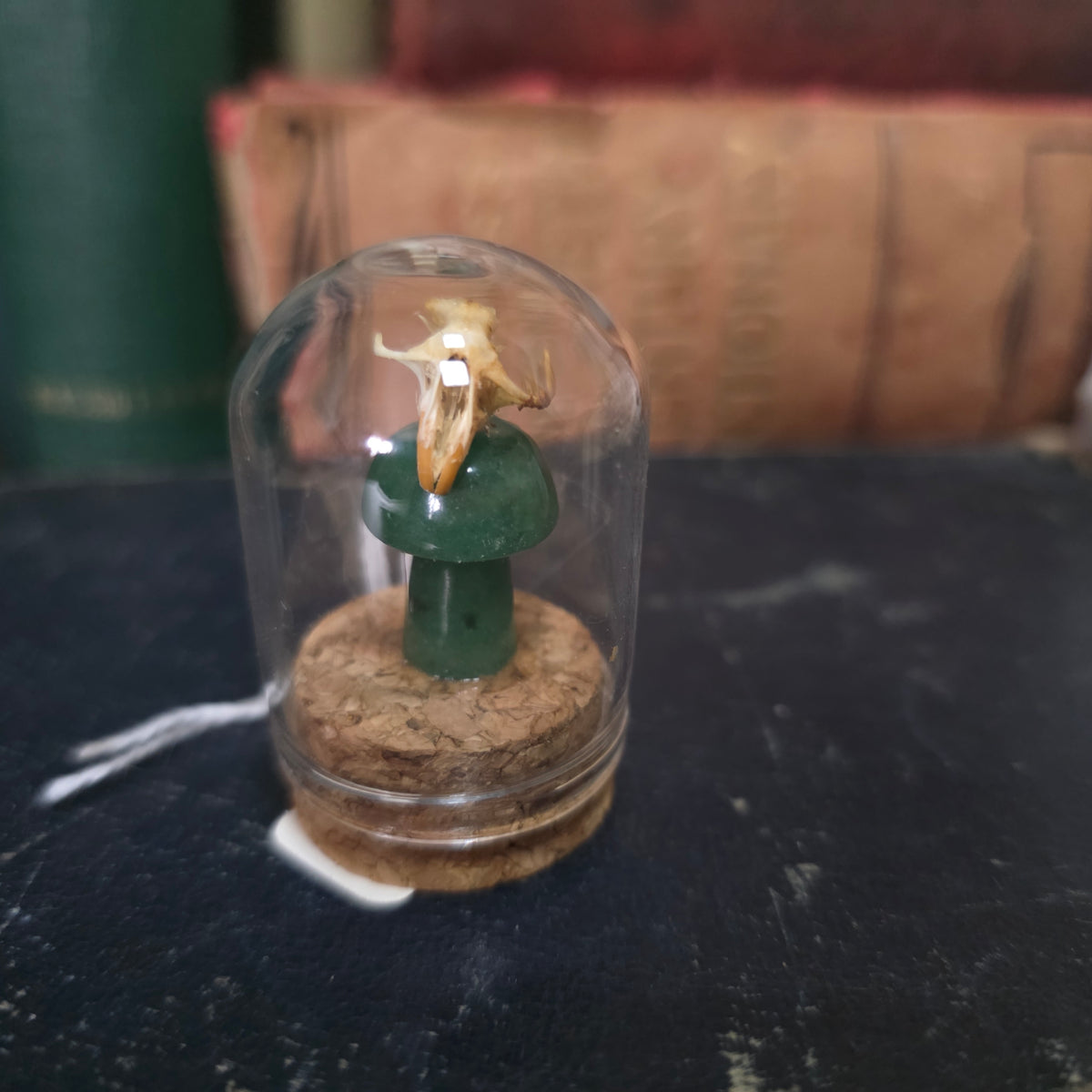 Crystal Mushroom Mini Skull Dome