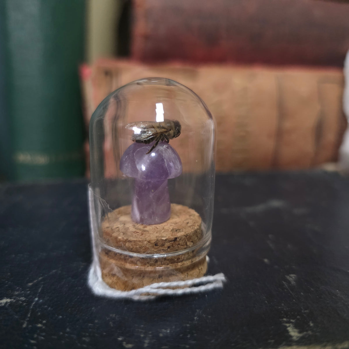 Crystal Mushroom Bee Dome