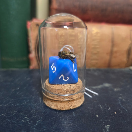 D&D Dice Bee Dome