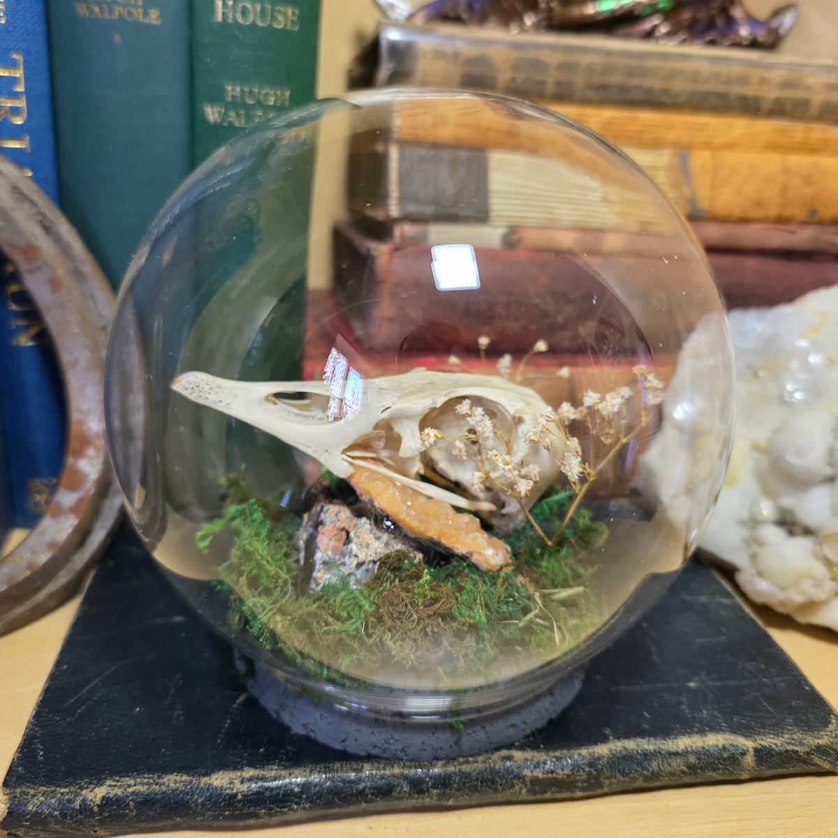Goose Skull Bubble Dome