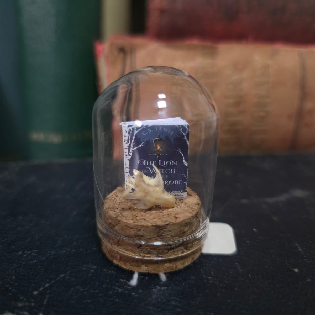 Book Mini Skull Dome