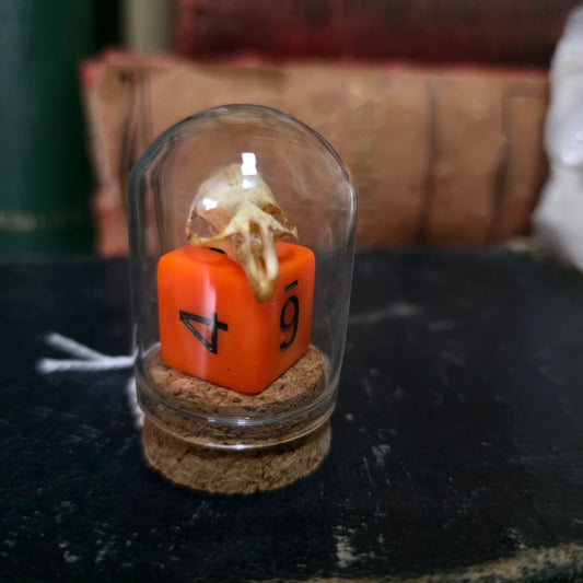 D&D Mini Skull Dome