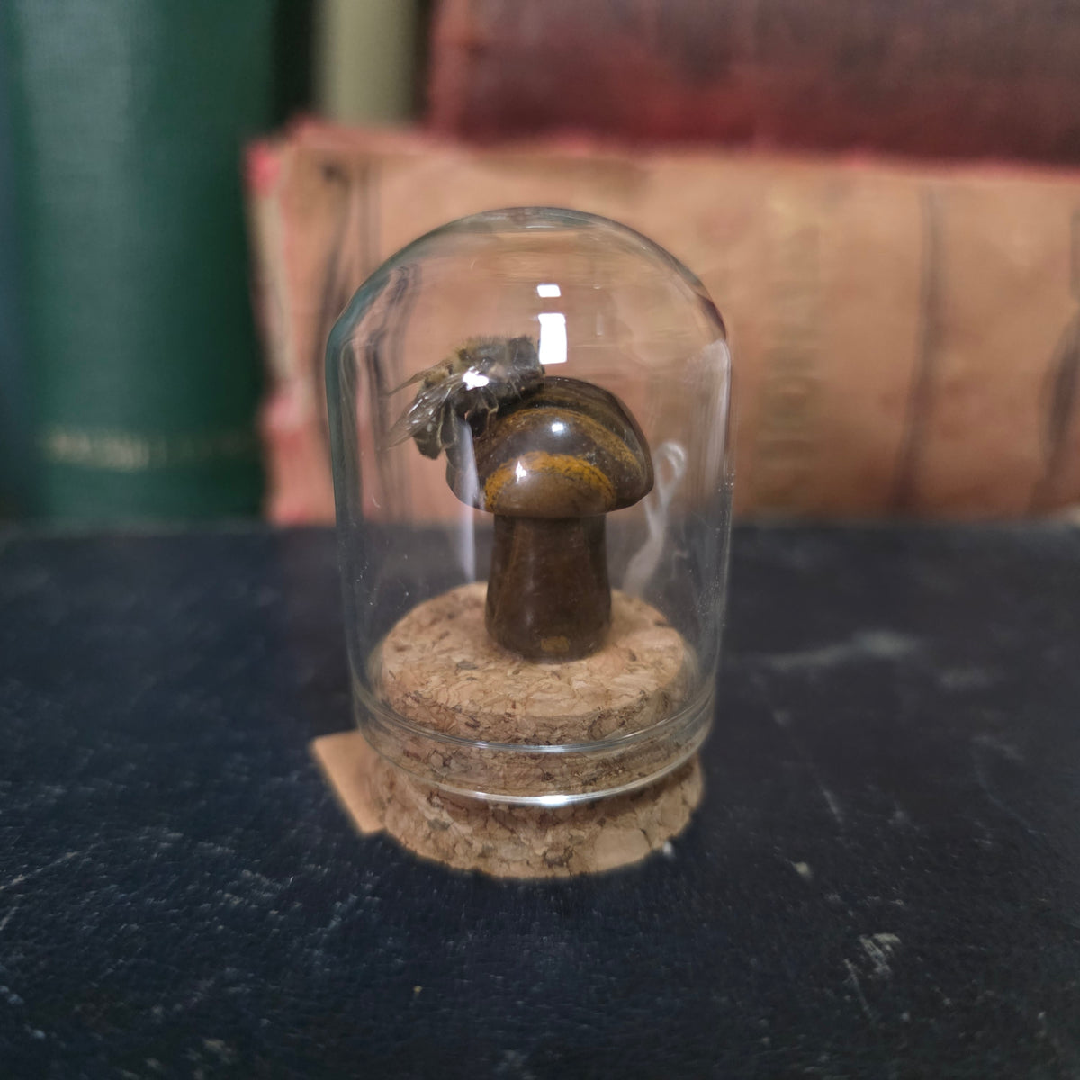 Crystal Mushroom Bee Dome