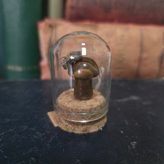 Crystal Mushroom Bee Dome