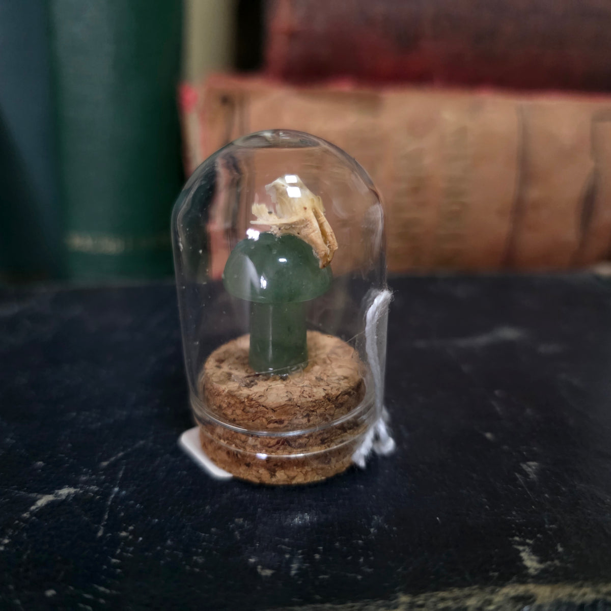Crystal Mushroom Mini Skull Dome
