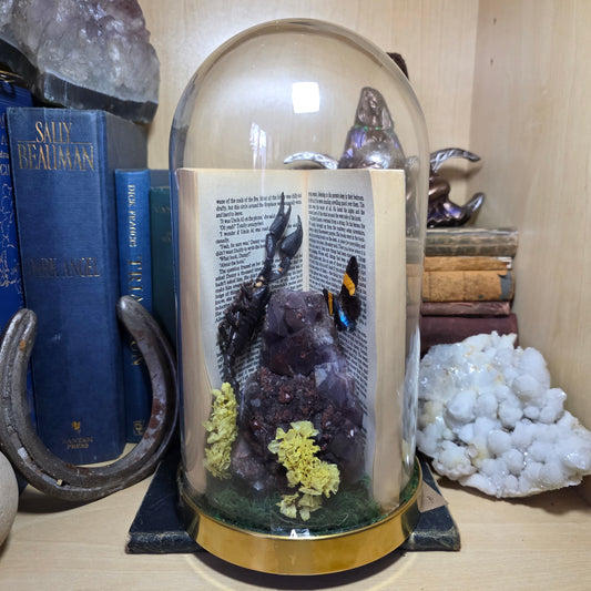 The Shining Book Dome
