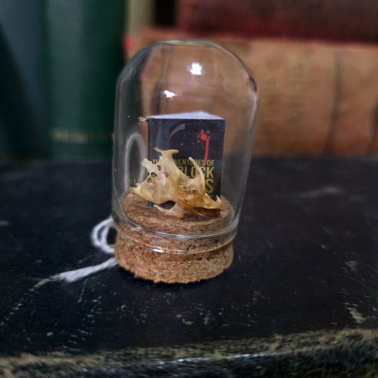 Book Mini Skull Dome
