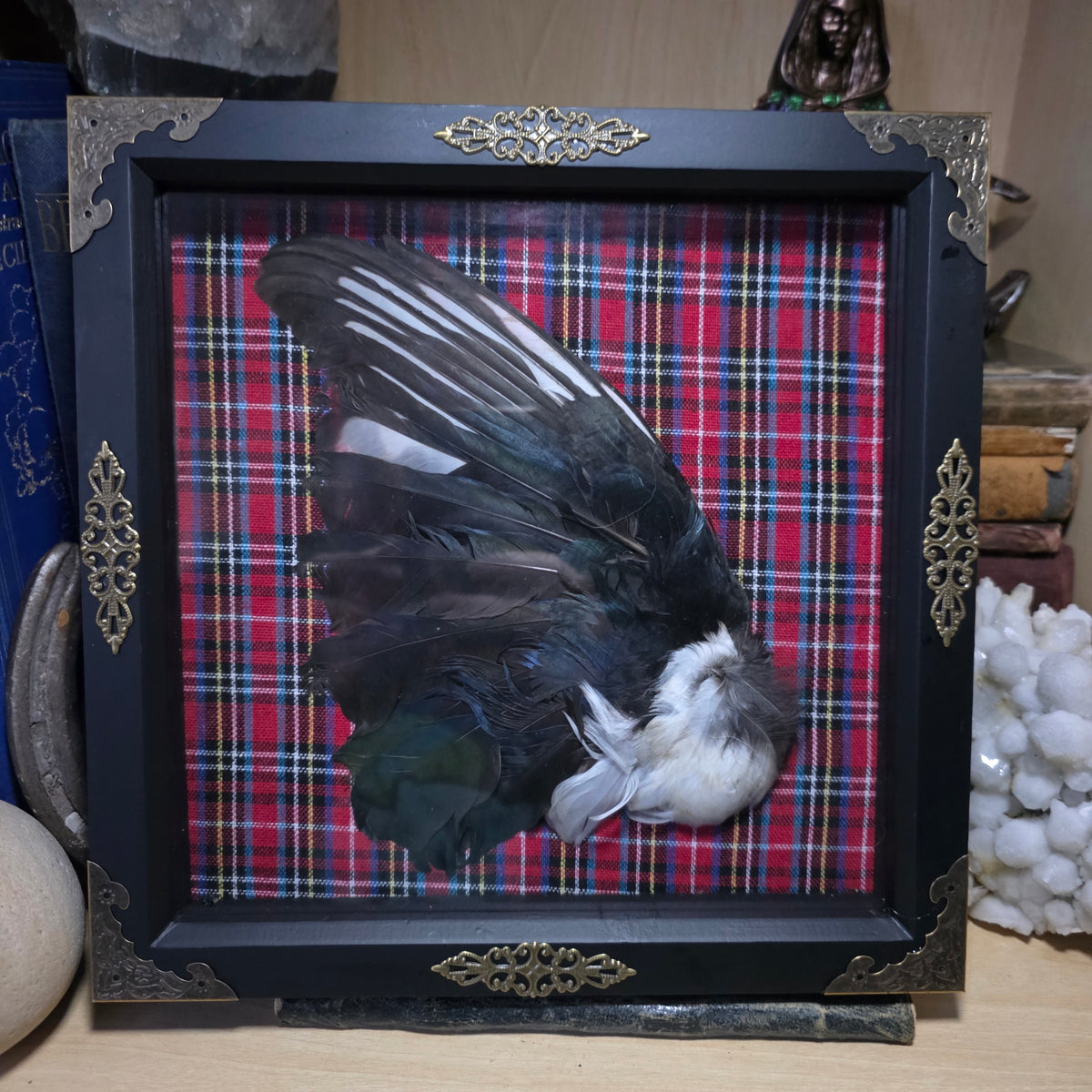 Magpie Wing Deep Frame
