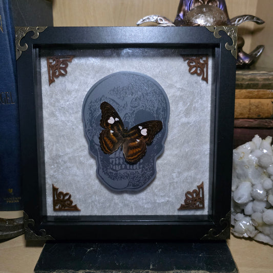 Butterfly Deep Frame