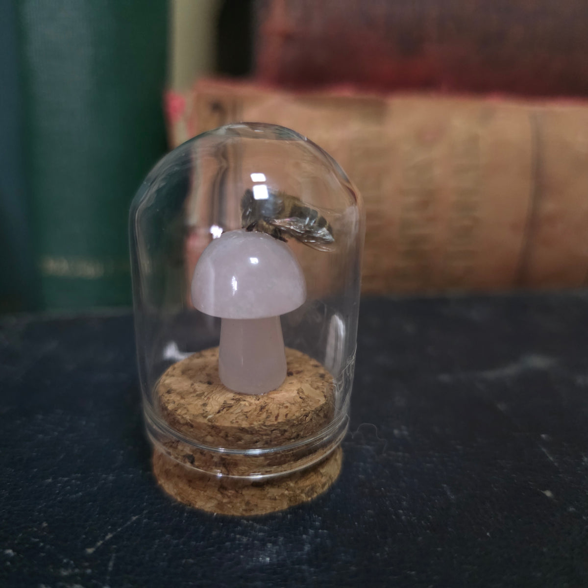 Crystal Mushroom Bee Dome