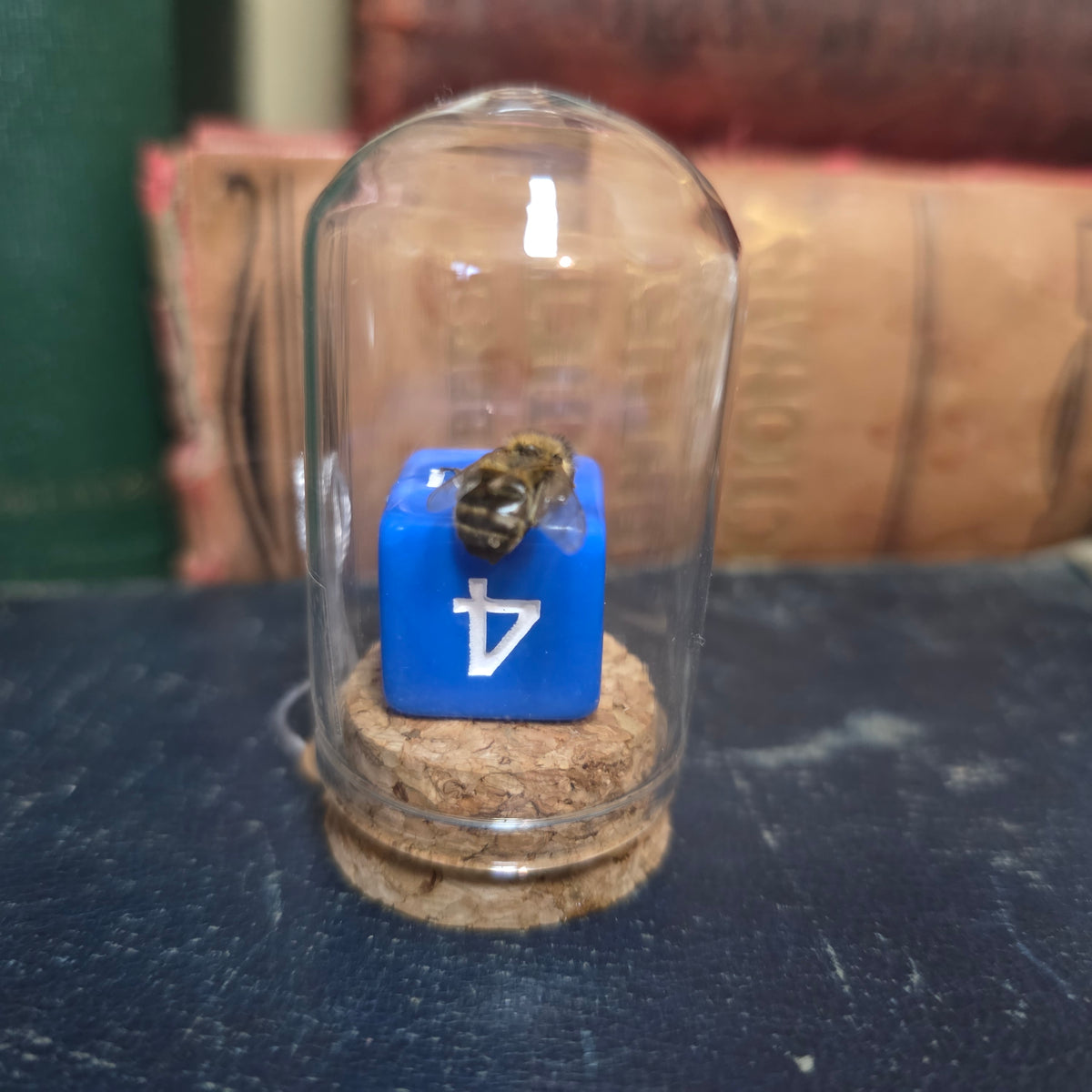 D&D Dice Bee Dome