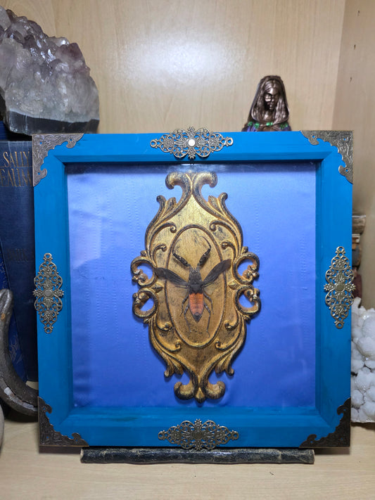 Water Bug Frame