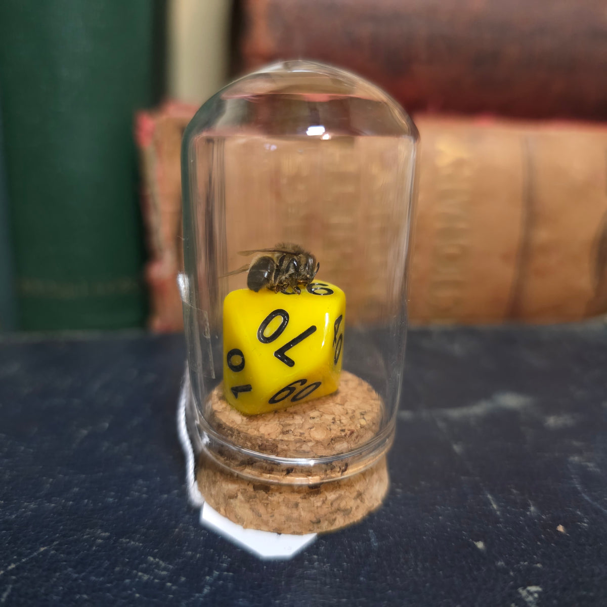 D&D Dice Bee Dome