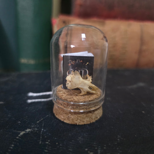 Book Mini Skull Dome