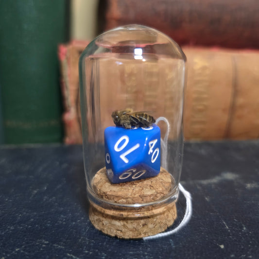 D&D Dice Bee Dome