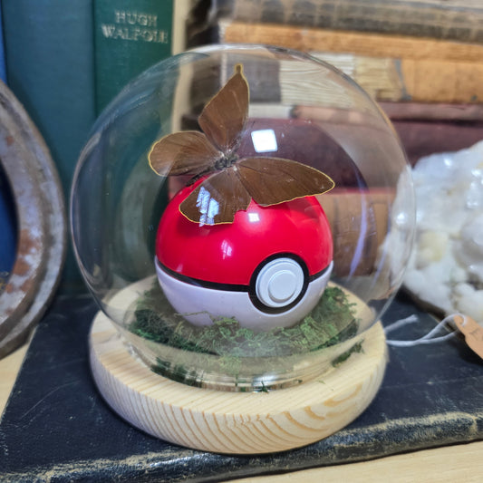 Pokeball Dome
