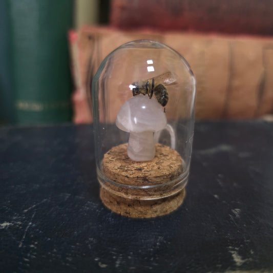Crystal Mushroom Bee Dome