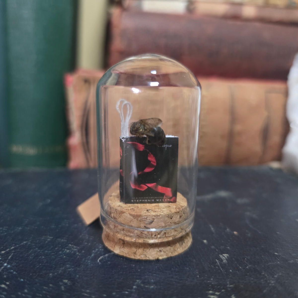 Book Bee Dome