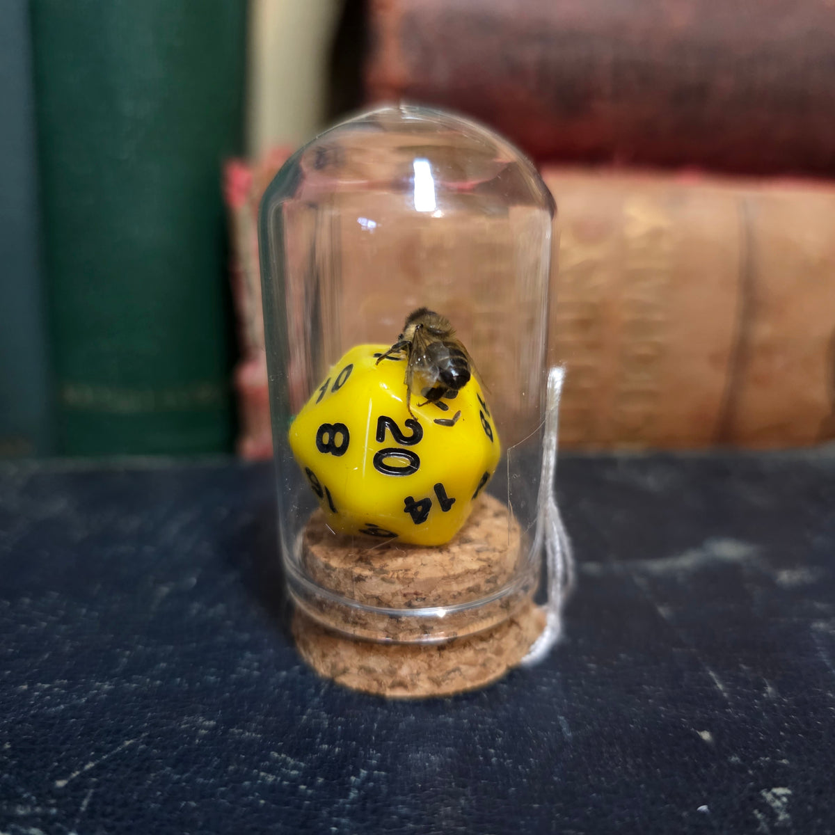 D&D Dice Bee Dome