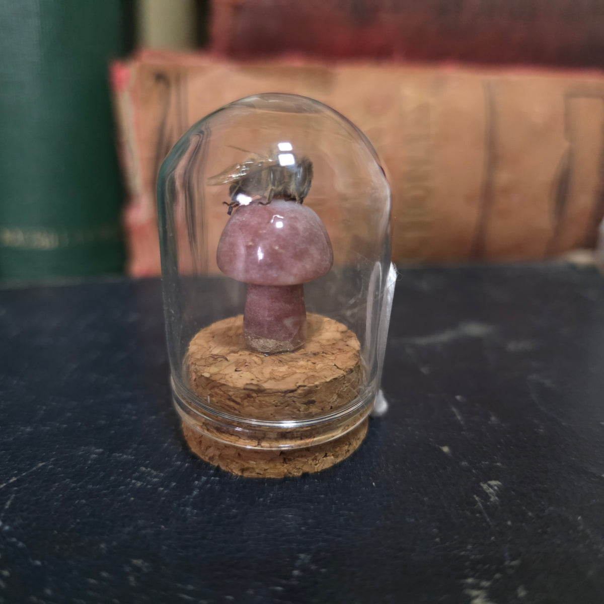 Crystal Mushroom Bee Dome