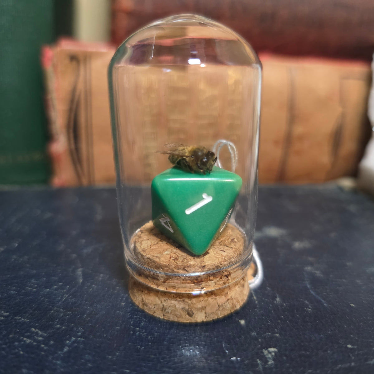 D&D Dice Bee Dome