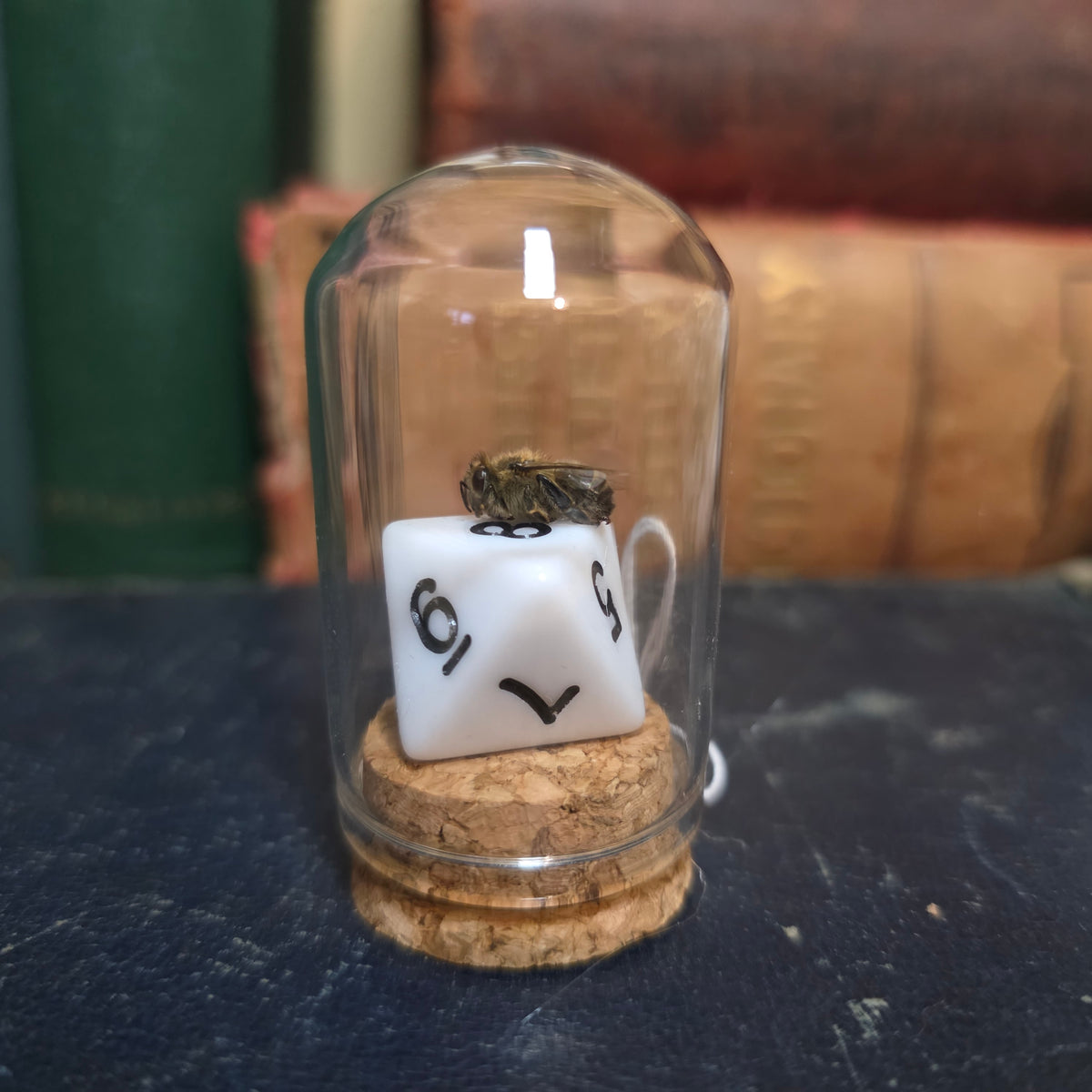 D&D Dice Bee Dome